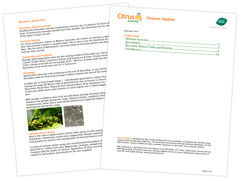 Citrus Australia (Season Update)